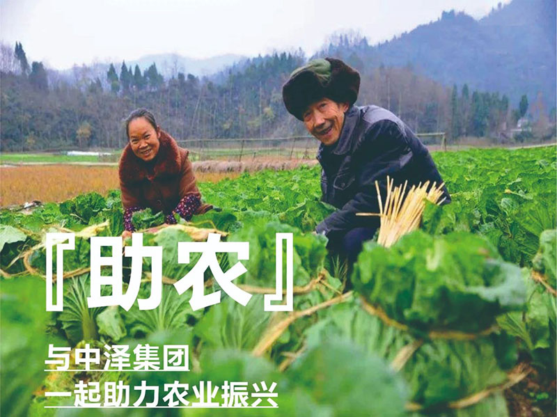 爱心助农，威尼斯37266在行动