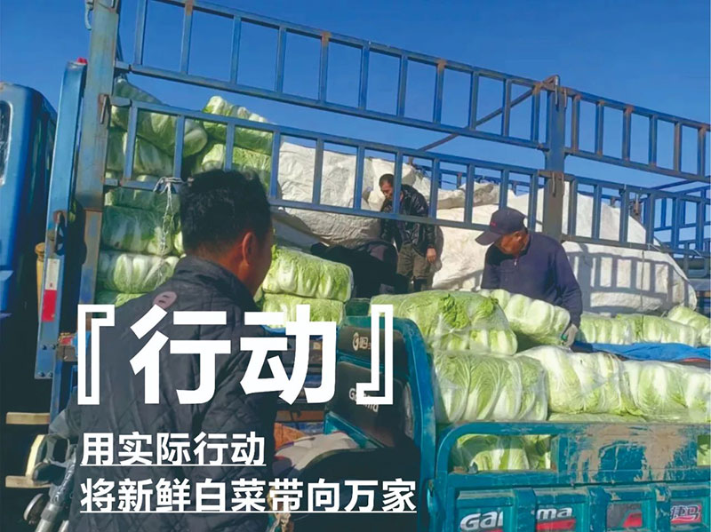 爱心助农，威尼斯37266在行动