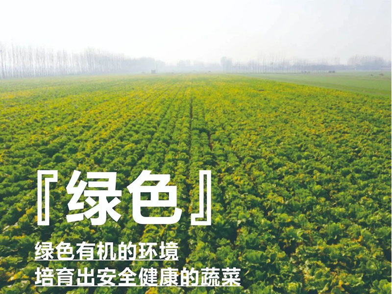 爱心助农，威尼斯37266在行动