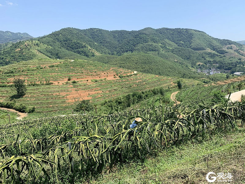 起劲加入青岛市扶贫协作运动